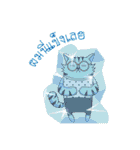 Tiger-cat（個別スタンプ：14）