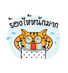 Tiger-cat（個別スタンプ：17）