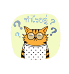 Tiger-cat（個別スタンプ：18）