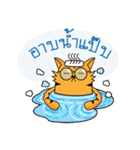 Tiger-cat（個別スタンプ：19）