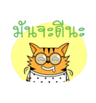 Tiger-cat（個別スタンプ：23）