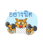 Tiger-cat（個別スタンプ：35）