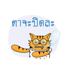 Tiger-cat（個別スタンプ：39）