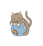 C(h)atroom - Cat and Chat（個別スタンプ：11）