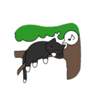 C(h)atroom - Cat and Chat（個別スタンプ：13）