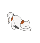C(h)atroom - Cat and Chat（個別スタンプ：14）