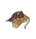 C(h)atroom - Cat and Chat（個別スタンプ：15）