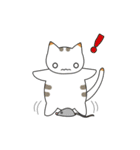 C(h)atroom - Cat and Chat（個別スタンプ：17）