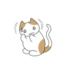 C(h)atroom - Cat and Chat（個別スタンプ：19）