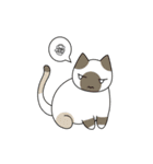C(h)atroom - Cat and Chat（個別スタンプ：21）
