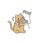 C(h)atroom - Cat and Chat（個別スタンプ：24）