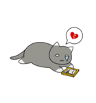 C(h)atroom - Cat and Chat（個別スタンプ：25）