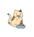 C(h)atroom - Cat and Chat（個別スタンプ：26）
