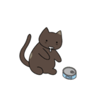 C(h)atroom - Cat and Chat（個別スタンプ：28）