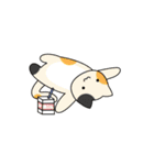 C(h)atroom - Cat and Chat（個別スタンプ：29）
