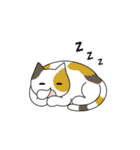 C(h)atroom - Cat and Chat（個別スタンプ：37）