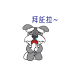 Grey Puppy（個別スタンプ：13）