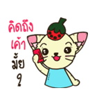 BearKaMeaw（個別スタンプ：31）