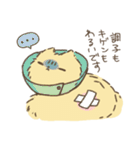 ふわふわわんこ（個別スタンプ：9）