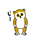 スローロリスちゃん（個別スタンプ：6）
