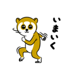 スローロリスちゃん（個別スタンプ：7）