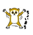 スローロリスちゃん（個別スタンプ：8）