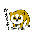 スローロリスちゃん（個別スタンプ：13）