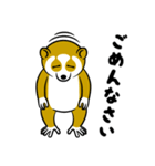 スローロリスちゃん（個別スタンプ：16）