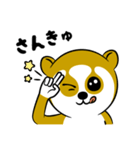 スローロリスちゃん（個別スタンプ：25）