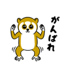 スローロリスちゃん（個別スタンプ：28）