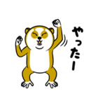 スローロリスちゃん（個別スタンプ：29）
