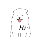 Cute Dog Samoyed（個別スタンプ：2）