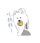 Cute Dog Samoyed（個別スタンプ：4）