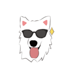 Cute Dog Samoyed（個別スタンプ：5）
