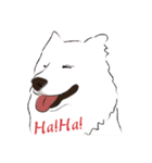 Cute Dog Samoyed（個別スタンプ：6）