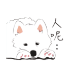 Cute Dog Samoyed（個別スタンプ：7）