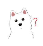 Cute Dog Samoyed（個別スタンプ：8）