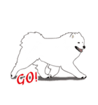 Cute Dog Samoyed（個別スタンプ：9）