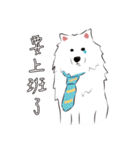 Cute Dog Samoyed（個別スタンプ：12）