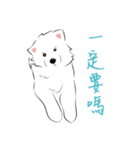 Cute Dog Samoyed（個別スタンプ：13）