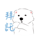 Cute Dog Samoyed（個別スタンプ：23）