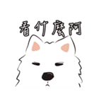 Cute Dog Samoyed（個別スタンプ：24）