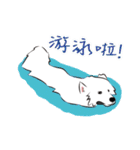 Cute Dog Samoyed（個別スタンプ：25）