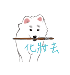 Cute Dog Samoyed（個別スタンプ：26）