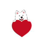 Cute Dog Samoyed（個別スタンプ：28）