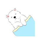 Cute Dog Samoyed（個別スタンプ：31）