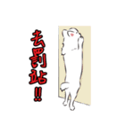 Cute Dog Samoyed（個別スタンプ：32）
