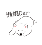 Cute Dog Samoyed（個別スタンプ：37）