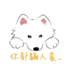 Cute Dog Samoyed（個別スタンプ：38）