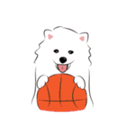 Cute Dog Samoyed（個別スタンプ：39）